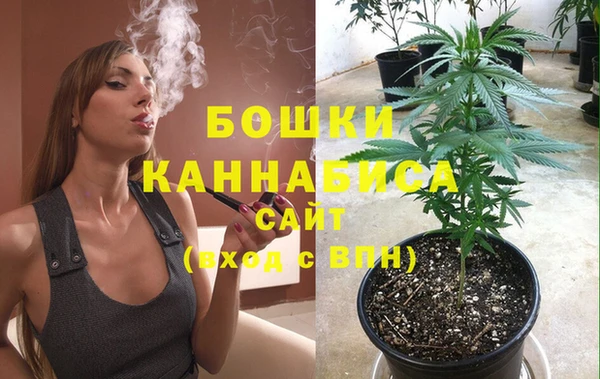 стафф Бородино