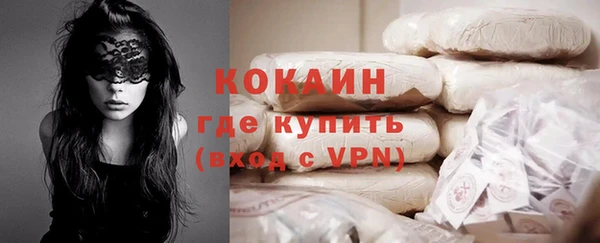 твердый Богородск