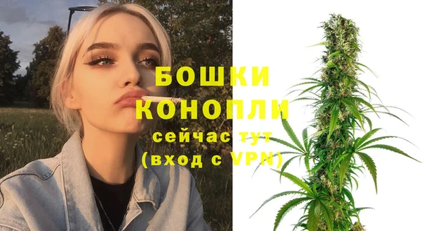 стафф Бородино